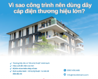 🔌 Vì sao công trình nên dùng dây cáp điện thương hiệu lớn? 